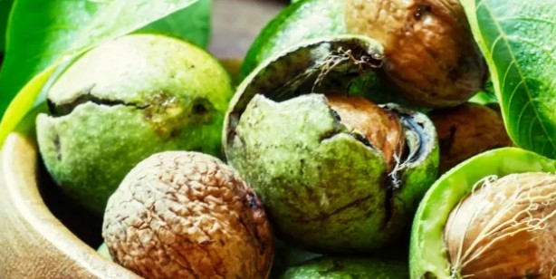 18'lik hafıza için 3 besin! Şaşırtan olay: Bundan böyle unutacağınız tek şey 'unutkanlık' olacak!