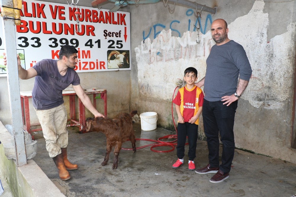 19 yıllık hasrete son vermek için koç kestiler 