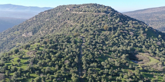 1900 yıllık tarihe sahip! Ormanın ortasında kazıldıkça ortaya çıktı