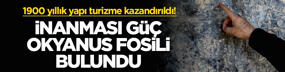 1900 yıllık yapı turizme kazandırıldı! İnanması güç okyanus fosili bulundu