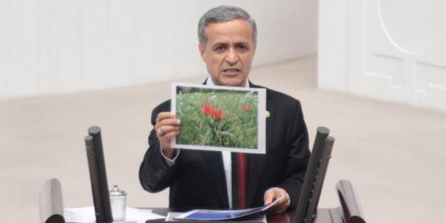 '1968’den beri çivi çakılmadı'