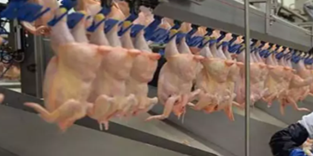 1980 yılından beri Türkiye'de olan Taylandlı tavuk devinden flaş karar! Satışa çıkardılar