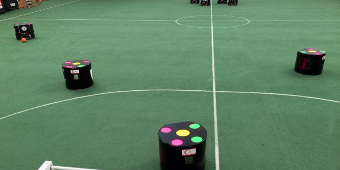 NEUIslanders Kuzey Kıbrıs Türk Cumhuriyeti bayrağını Japonya’da dalgalandırıyor