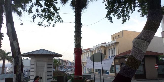 Mudanya’da ağaçlar rengarenk