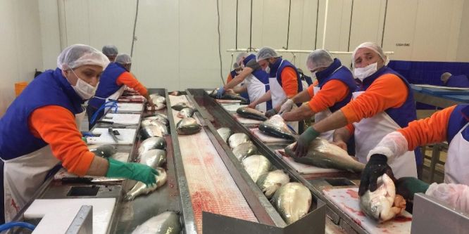 Trabzon Japonya’ya açıldı