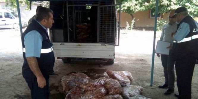 1 ton kaçak tavuk eti ele geçirildi