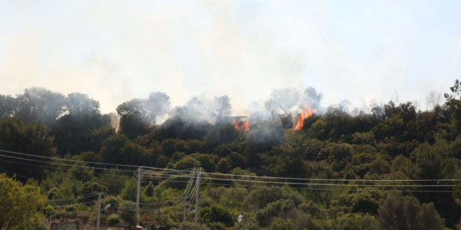 Urla'da korkutan yangın