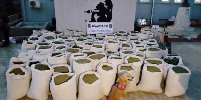3 ton uyuşturucu madde ele geçirildi
