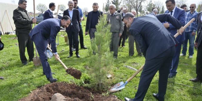 Hükümlüler fidan dikti
