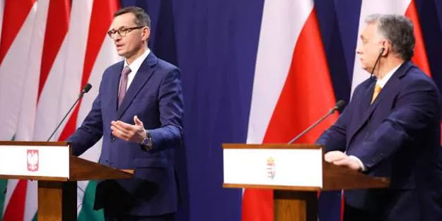 2 AB üyesi ülke isyan etti