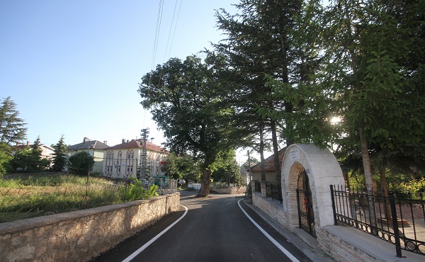 2 asırlık ağaç koruma altına alındı