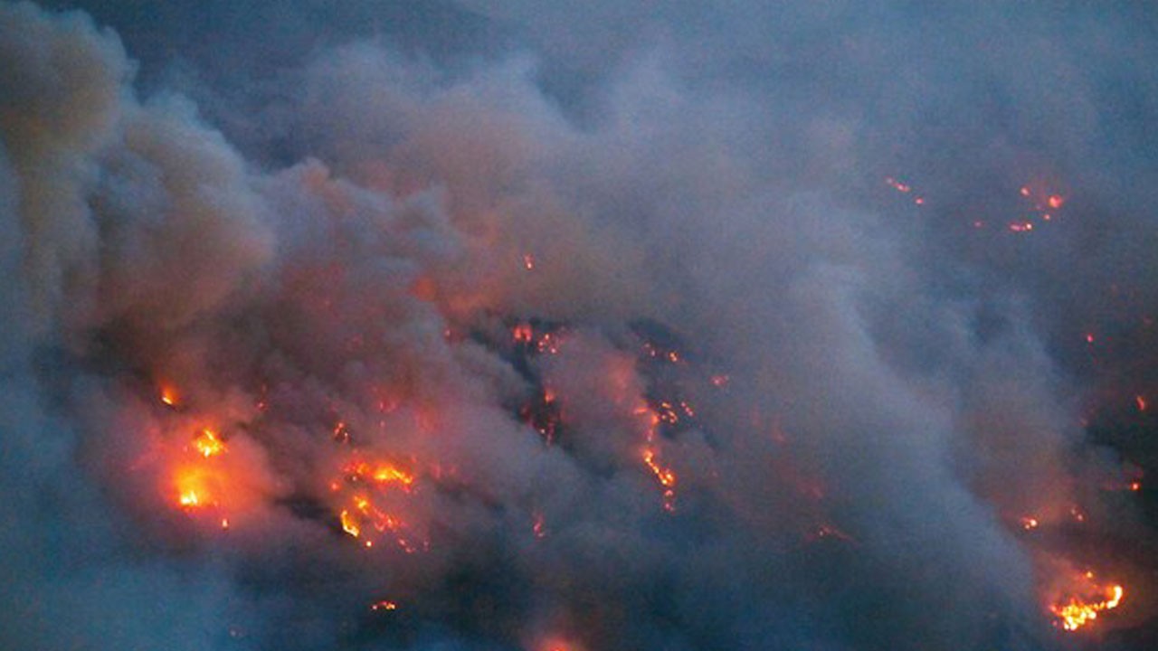 2 bin 100 hektarlık alan küle döndü
