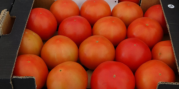 2 bin 500 nüfuslu köyde 10 bin tona yakın üretim yapıldı! Avrupa ve Ortadoğu'dan talep yağıyor