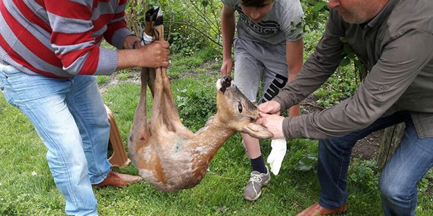 2 bin avcının bulunduğu Ordu'da 22 bin lira ceza kesildi