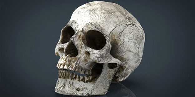 2 bin yıl öncesine ait olduğu düşünülüyor! Kafatasında sağlam beyin hücresi bulundu