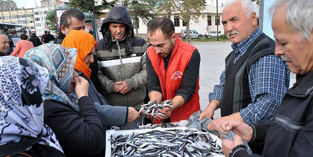 2 buçuk ton hamsiyi...