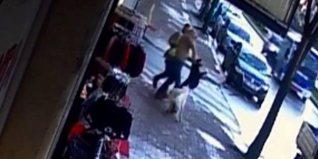 2 günde bu kaçıncı! Bir köpek saldırısı daha: İhbara gidenlere de saldırdı!