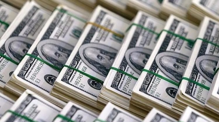 2 günde satılan döviz dudak uçuklattı!