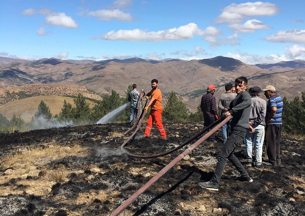 2 hektarlık alan küle döndü