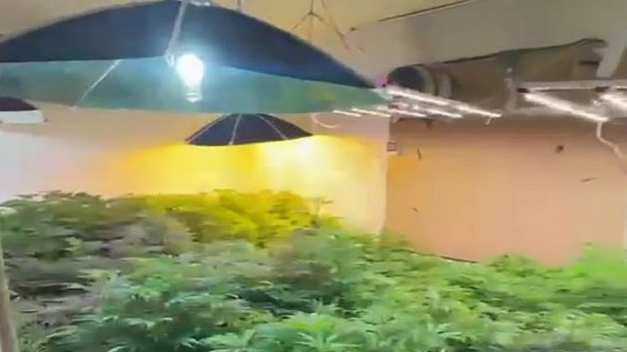 2 kişi gözaltına alındı! Evden gelen koku operasyon başlattı