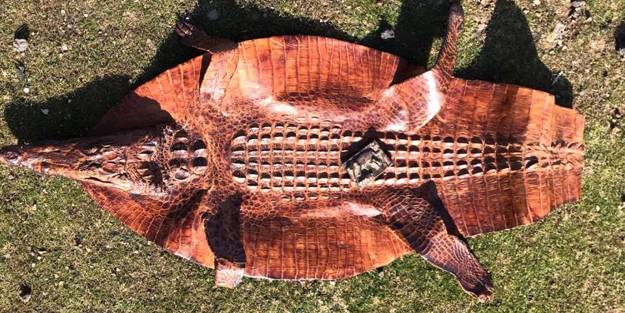 2 milyon dolar karşılığında satılmaya çalışılan tarihi eser yakalandı