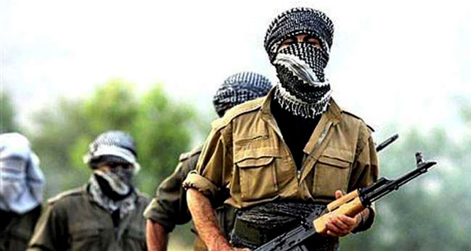 2 PKK’lı teslim oldu