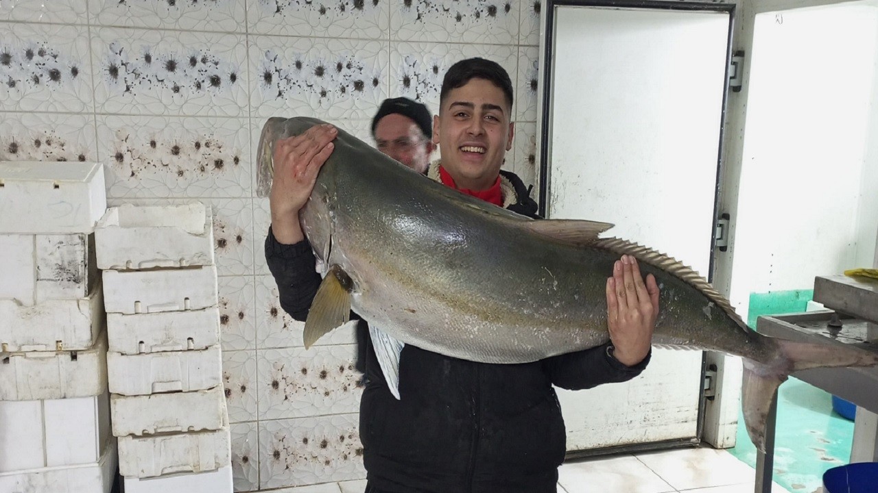 2 saatlik uğraşla yakaladılar! Tam 50 kilo ağırlığında