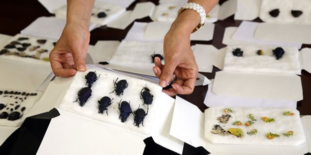 2 turistin çantasından çıkanlar şok etti