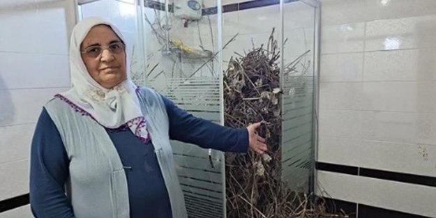 2 yıldır boş olan eve giren kadın şoke oldu! 'Hayatımda böyle bir şey görmedim'