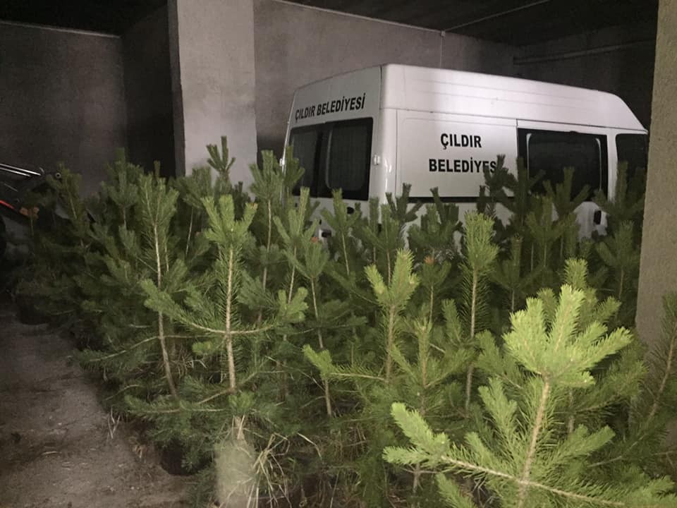 20 bin fidan Çıldır’a nefes olacak 