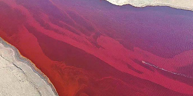 20 bin ton petrol nehre aktı! OHAL ilan ettiler