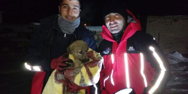 20 metrelik su kuyusuna düşen yavru köpeği, AFAD ekipleri kurtardı