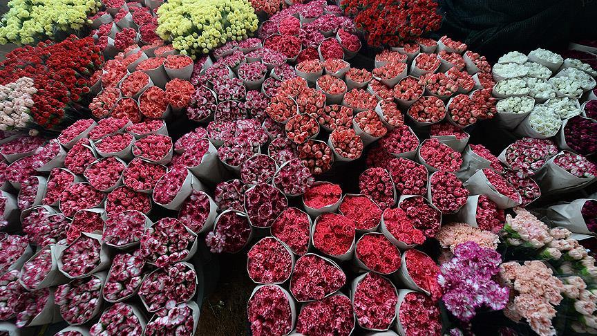 20 ülke Kadınlar Günü'nü Türk çiçeğiyle kutlayacak