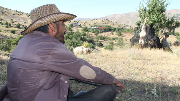 20 yıl yaşadığı şehri terk edip yerleşti… Hem huzuru hem de parayı buldu!
