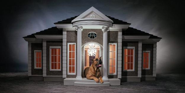 200 bin dolara köpek kulübesi!