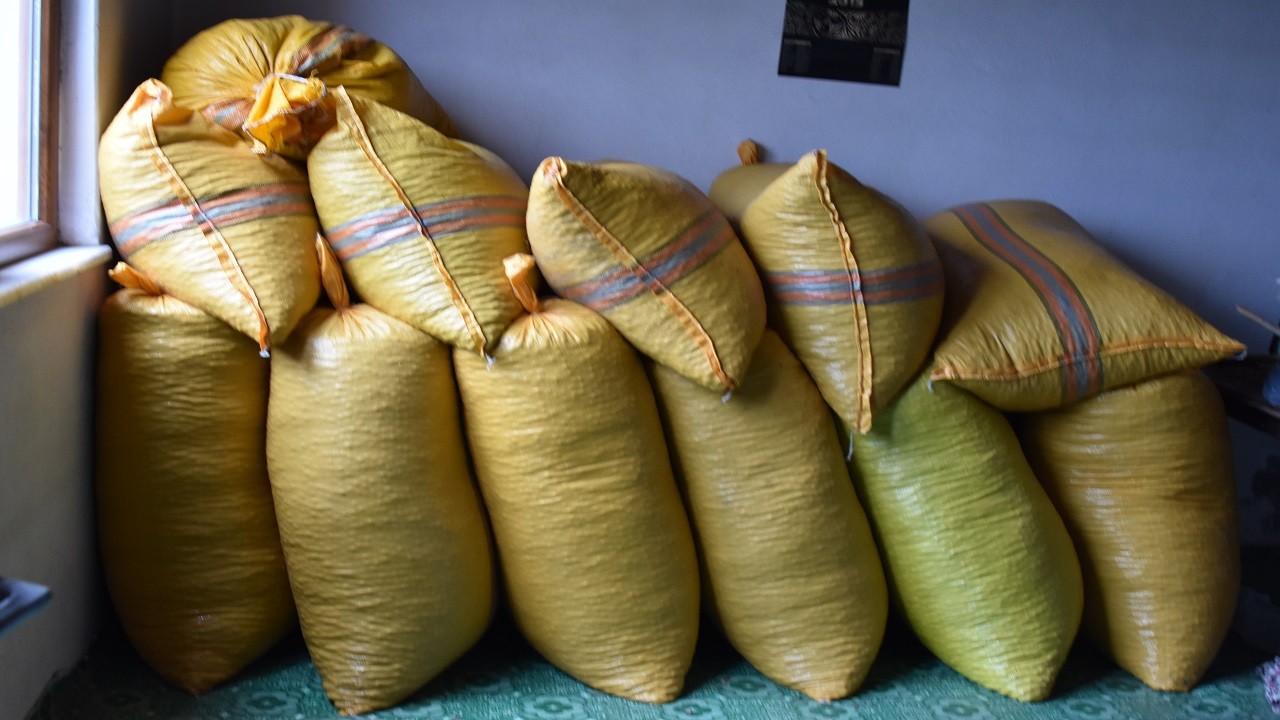 200 bin ton fındık depolarda! Peki, neden?