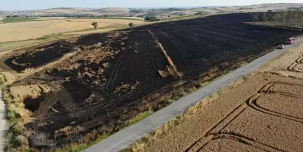 200 dönümlük buğday tarlası kül oldu