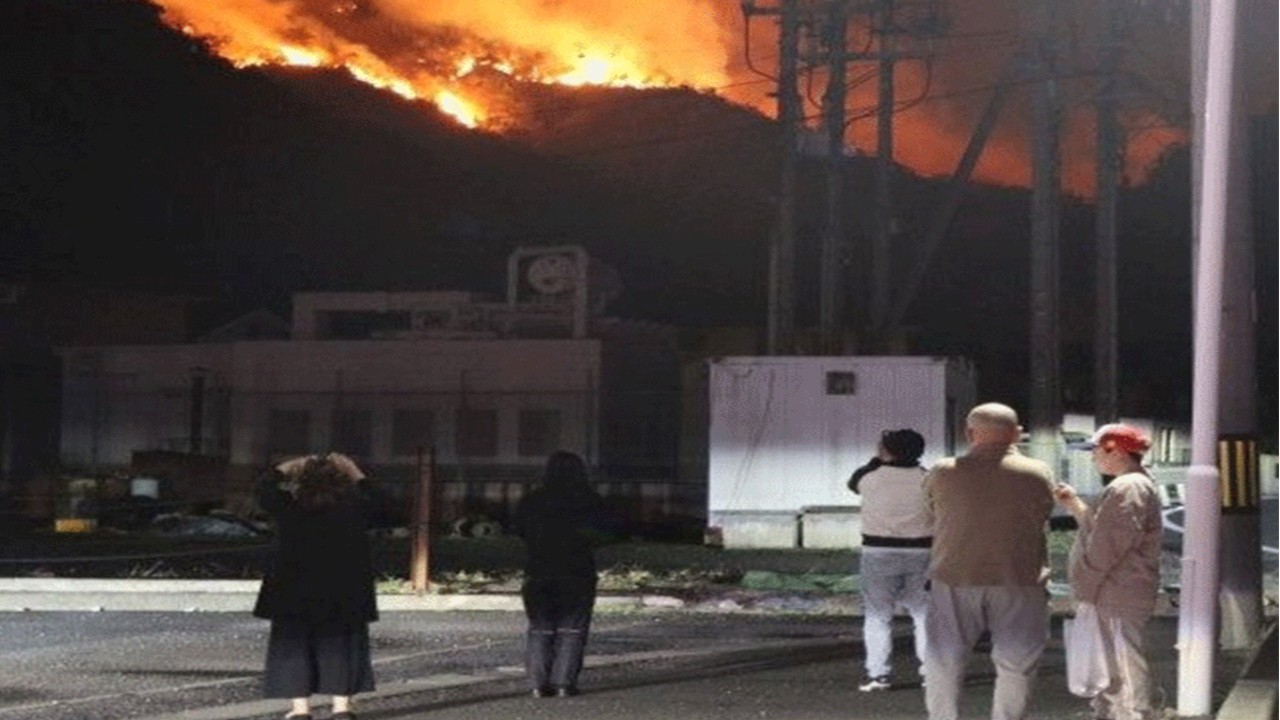 200 hektar orman kül oldu, tahliyeler sürüyor Japonya iki gündür yanıyor
