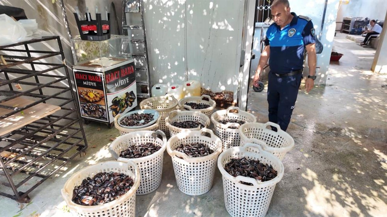200 kilo bozuk midye dolmasına komik para cezası