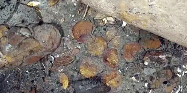 200 ton altın bulundu! Dünya şoka girdi: Milyarlarca dolar ediyor