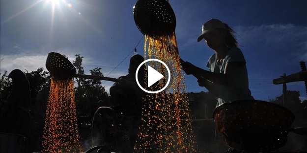 200 yıldır imece usulü pekmez yapıyorlar