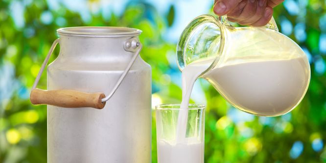 Toplanan inek sütü Mart ayında azaldı