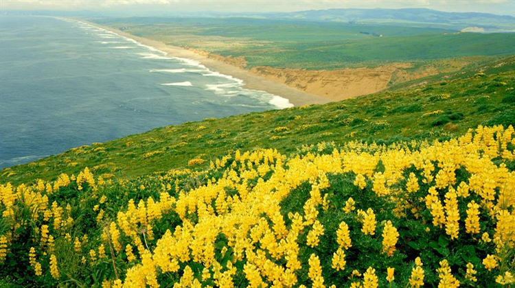 2017 İlk cemre ne zaman düşecek?