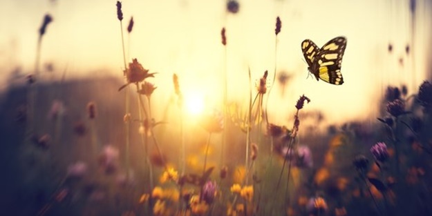 2019 üçüncü cemre ne zaman düşecek? Cemre toprağa ne zaman düşer?