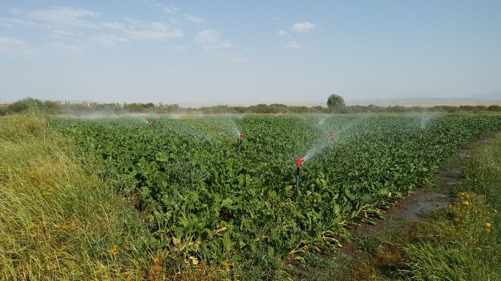 2019 Yılı bireysel sulama hibe hakkı kazanan çiftçiler açıklandı 