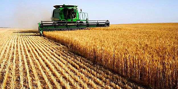 2019’da 16,1 milyar liralık destek