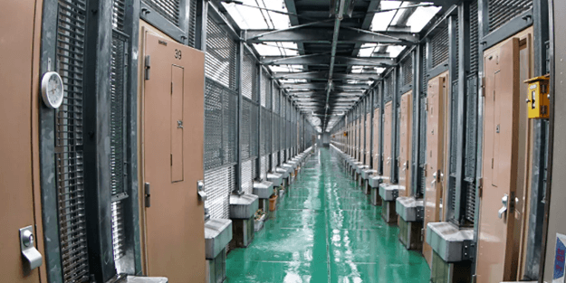 2019'dan beri ilk: 3 mahkum idam edildi!