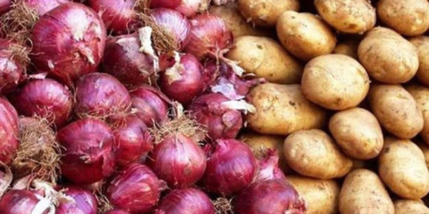 2020’de 124 bin ton patates 220 bin ton soğan ihraç ettik