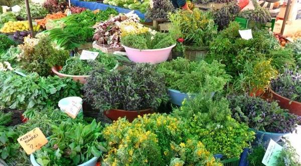 2022 Ot Festivali ne zaman? Alaçatı Ot Festivali bu sene yapılacak mı?