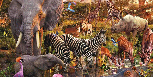 2022’ye damga vurdu! İşte ödül kazanan o fotoğraf